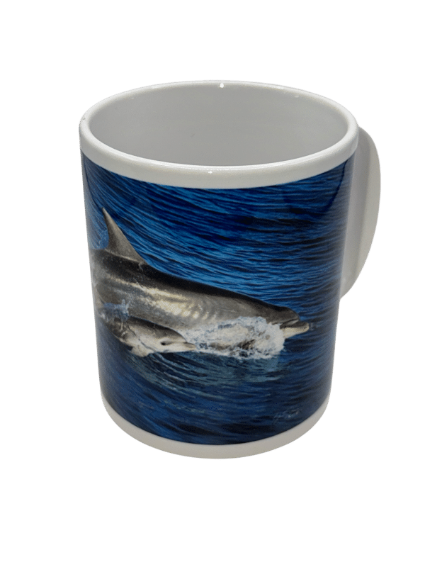 Mug Dauphin Bébé - KapMer - Photographe Yoan SALOMON