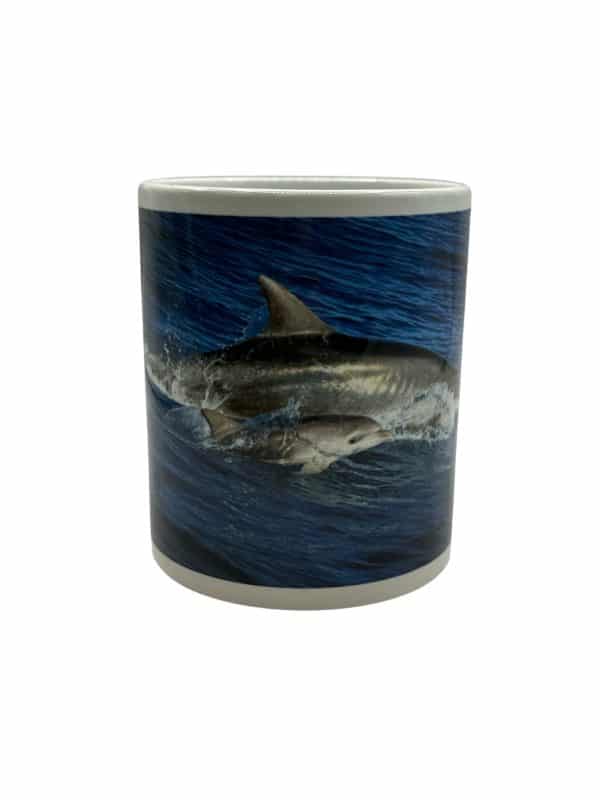 Mug Dauphin Bébé - KapMer - Photographe Yoan SALOMON